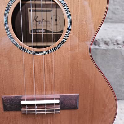 Kai KTI-700 - Cedar image 3