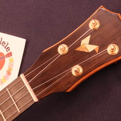 Rebel Curly Mango Gloss Tenor with Ebony Fretboard & Bridge #5151 image 22