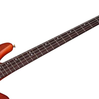 Schecter Stiletto Studio-8 Honey Satin + FREE GIG BAG - 8-String Electric Bass Guitar Studio 8 image 7