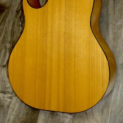 1971 Smith BW-18-P 18-String Cutaway image 4