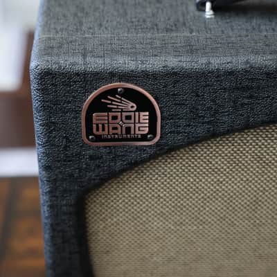 Eddie Wang Instruments Quantum Zen 1x12 Combo - Amazing Amp! image 6