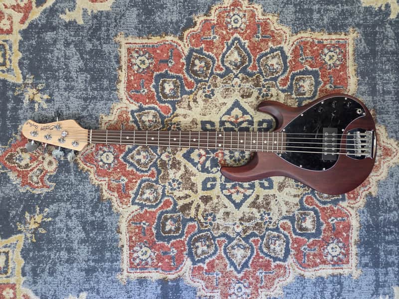 Used Sterling by Music Man StingRay Ray5 Walnut Satin image 1