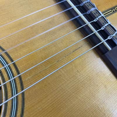 1913 Martin 0-28 Brazilian Rosewood, Adirondack Spruce, Herringbone Trim w Ditson Provenance image 25