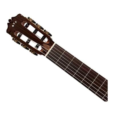 Cordoba Fusion Stage Traditional Cedar Cutaway A/E Nylon String Guitar Open Box image 4