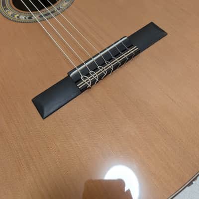 Kremona Fiesta F65CW-7S 7-String Nylon Classical Guitar – Fishman Electronics, Gig Bag Included – Mint image 6