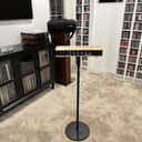 Moog Etherwave Theremin with SR Series Case