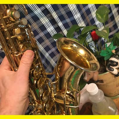 MARTIN 1930 GOLD PLATED PORTRAIT " THE GOLDEN-WINGED WARBLER " MASTER TYPEWRITER HANDCRAFT ALTO SAXOPHONE STUNNING LOVELY ENGRAVING & PLAYING WELL, ORG CASE , TECH SERVICED FREE SHIP image 11