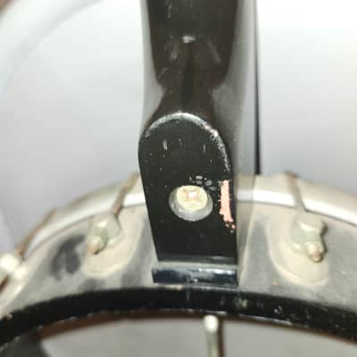 Kay Truetone image 6