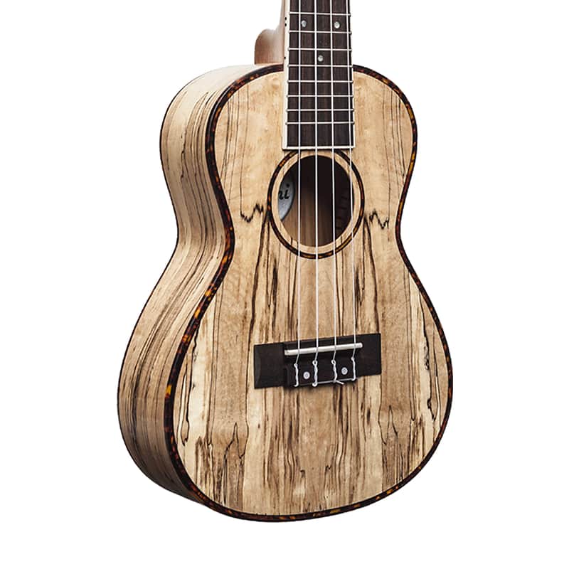 Immagine Amahi UK770C Classic Spalted Maple Concert Ukulele - 1