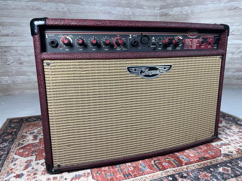 Traynor AM100T Acoustic Master Combo image 1