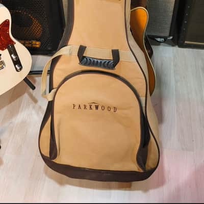 Parkwood PW-560 Electrified with Gigbag image 18