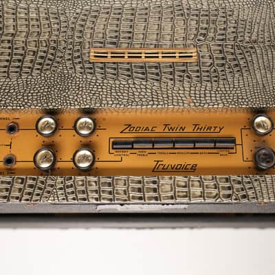 1960s – Selmer Zodiac Twin Thirty: 2x12 Combo – Live Rentals by John Mayer, Rich Costey image 9