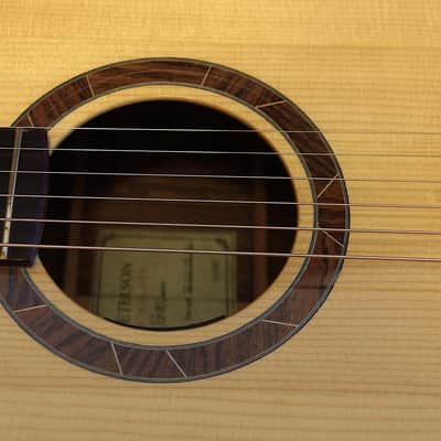 Peterson D-100 MY (2021) USA Handbuilt Boutique Acoustic Dreadnought - Fishman Matrix Infinity, OHSC image 20