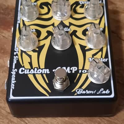Baroni-Lab Custom Hand-Made Italian 100w Guitar Amp image 2