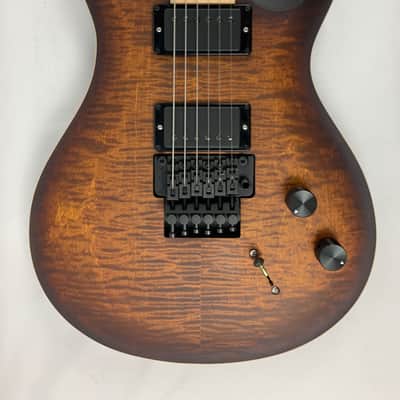 PRS Paul Reed Smith DW CE 24 Floyd Electric Guitar Dustie Waring Burnt Amber Smokeburst + PRS Gig Bag - BRAND NEW image 6