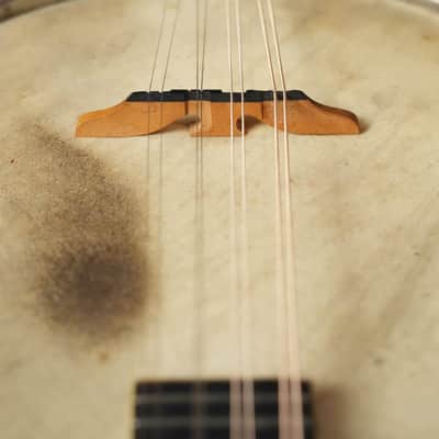 (Used) 1920s Vintage Vega Little Wonder Open-Back Banjo-Mandolin #4928 image 7