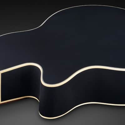 Warwick Alien Standard 5-String Acoustic Bass w/ Fishman Piezo System w/ Bag Solid Black Satin WAC1575 93PP SSA FR image 2