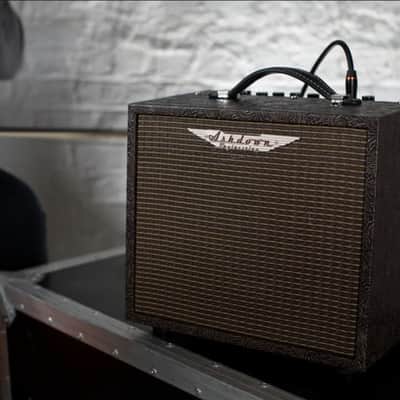 Ashdown Woodsman Parlour | 25W 1x8 Acoustic Guitar Combo. New with Full Warranty! image 8