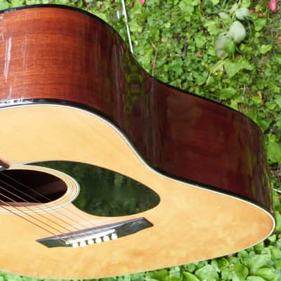Fender F-35dreadnaught  acoustic Japan  natural image 3