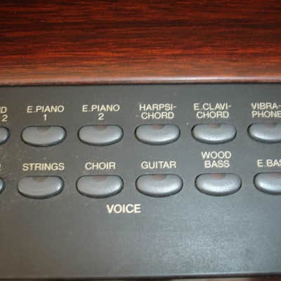 Yamaha P-120 88-key Digital Piano Keyboard w/ Accessories image 15