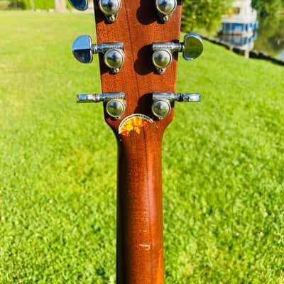 Martin D-19, 1979 image 6