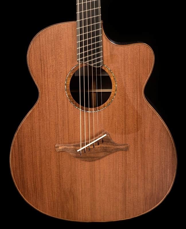 Lowden O50c Fan Fret African Blackwood image 1