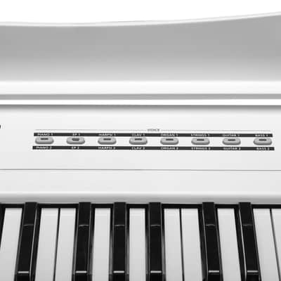 Kurzweil KAS1 White image 8