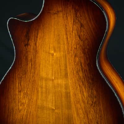 Taylor PS14ce Presentation Series Honduran Rosewood and Adirondack Spruce with Pickup Used (2025) image 20