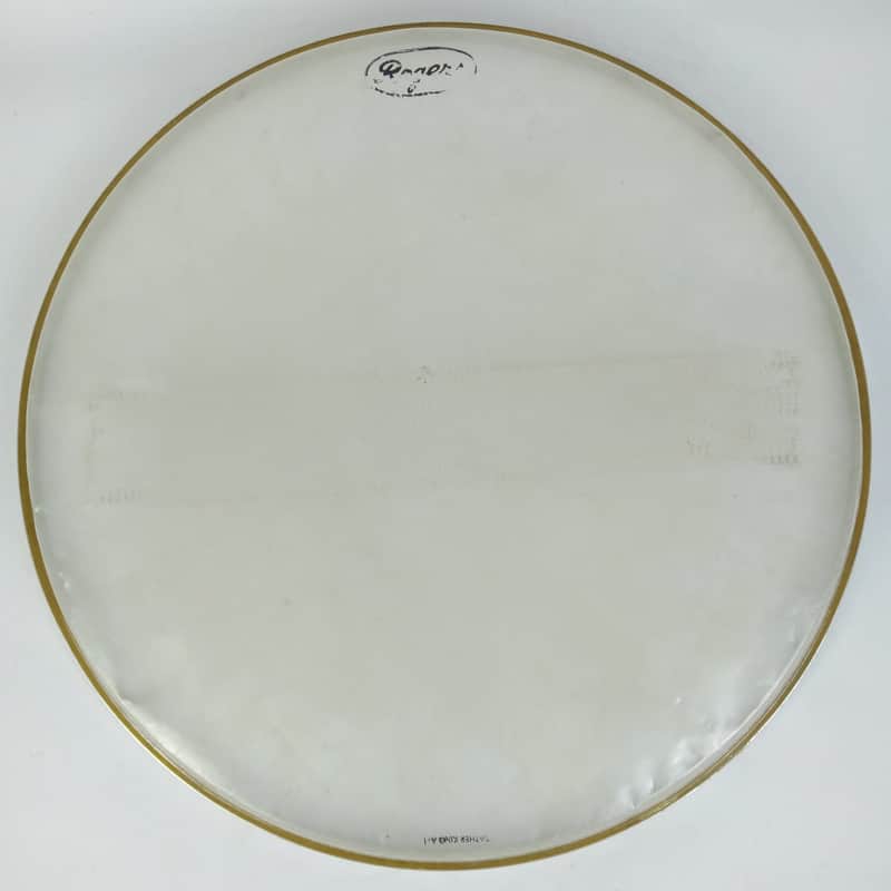 Rogers Cleveland Resonant Side Snare Drum Head Holiday/Powertone Vintage 60s USA image 1