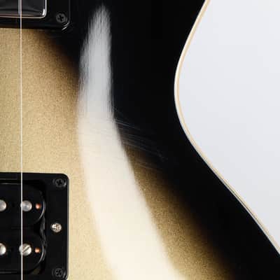 Gibson Adam Jones Les Paul Standard, Antique Silverburst | Demo image 9