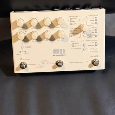 Hologram Electronics Microcosm | Reverb