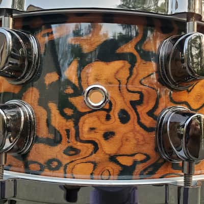 Mapex Orion 2008 - Chocolate Burl image 6