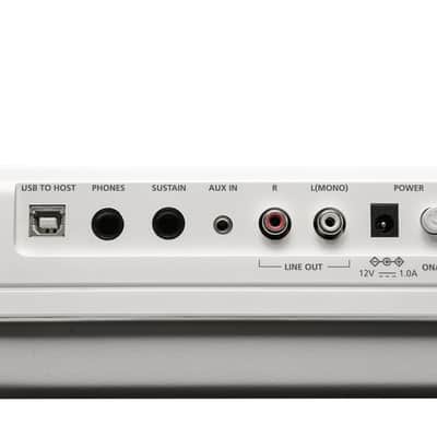 Kurzweil KAS1 White image 10