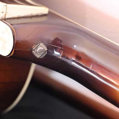 Hofner 500/2 Club Bass 1964 Sunburst image 16