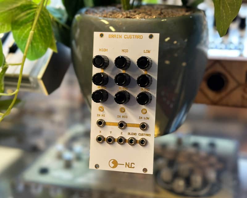 Nonlinear Circuits Brain Custard Eurorack Module image 1