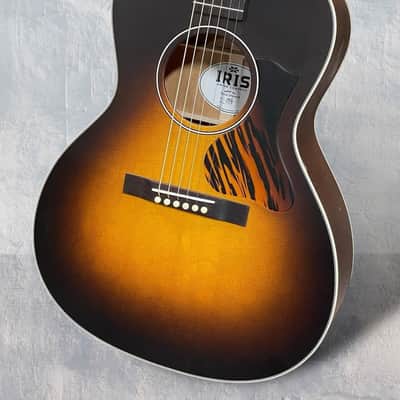 Iris MS-00 - Tobacco Burst. NEW, (Authorized Dealer) image 2