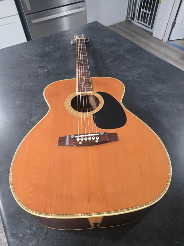 Vintage 70's Orpheum 359-F Acoustic Guitar With Case - Very Good