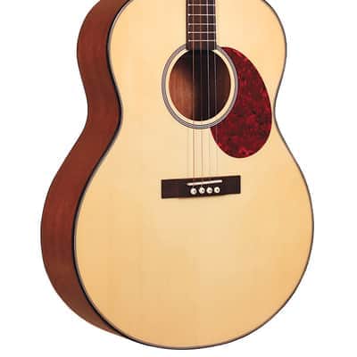 Gold Tone TG-10 Tenor Guitar with Gigbag - Natural image 1