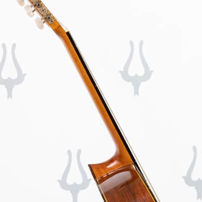 Daion GC 20 (Yamaki Built) image 14