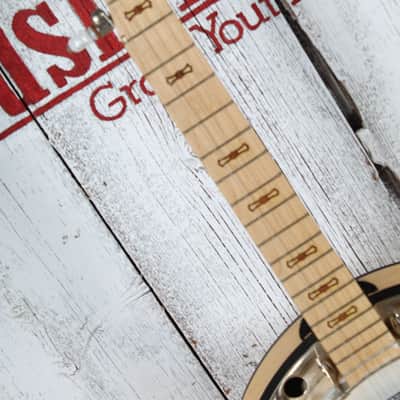Deering Goodtime 2 Two Banjo 5 String Resonator Banjo with Hardshell Case image 8