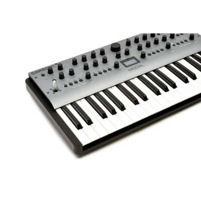 MODAL - SINTETIZADOR CARBON8 (37 KEYS) image 3