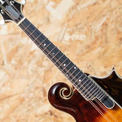 Iwashita Mandolins&Guitars F 5 2024 image 5