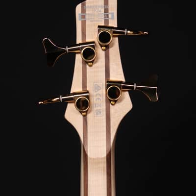 Ibanez SR400EPBDX 4-String Bass, Tropical Seafloor Burst image 10
