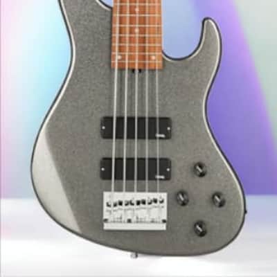 Sadowsky MetroExpress 24-Fret Modern Bass, Morado Fingerboard, 5-String - Solid Silver Metallic High Polish image 2