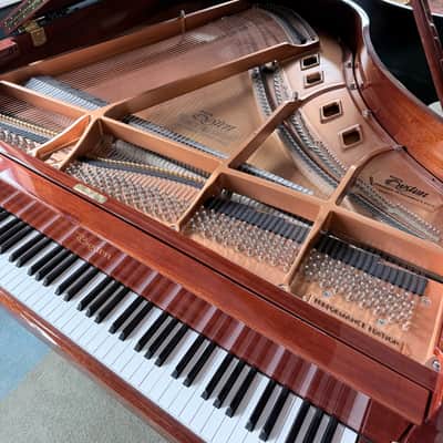Immagine Boston GP163 2023 - Polished Mahogany - 4