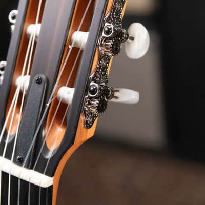 Taylor 212ce-N Plus Nylon Grand Concert Acoustic/Electric Guitar with Aerocase image 10