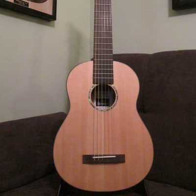 Pepe Romero Pepe Romero Signature Model 6-String with Case - NEW!! 2017 image 2