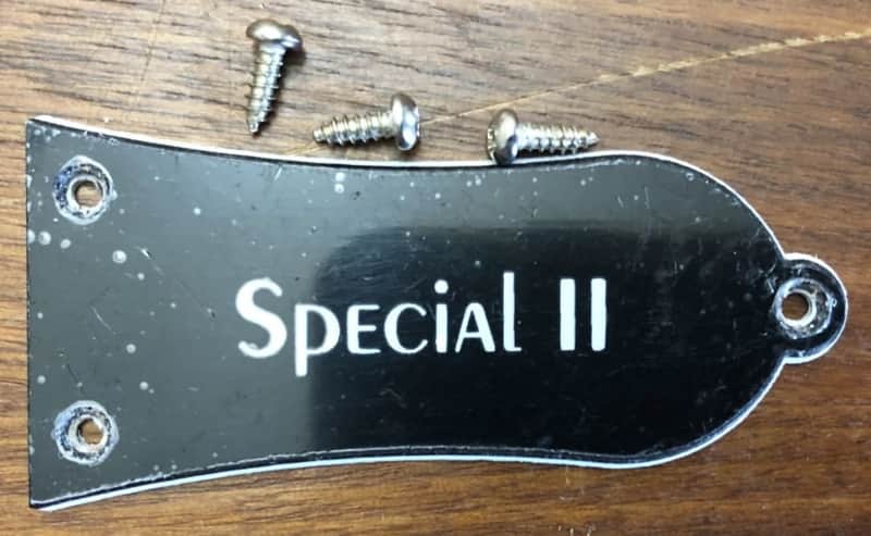 2024 Epiphone Les Paul Special II Electric Guitar Truss Rod Cover With Screws image 1