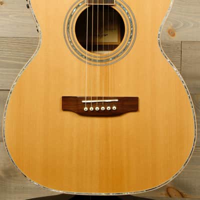 Zager ZAD900ce OM (USED) image 1