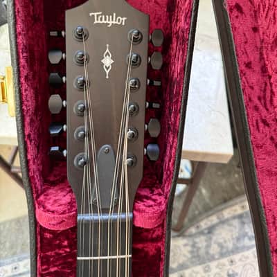 Taylor 362e with V-Class Bracing 2021 Shaded Edgeburst image 18
